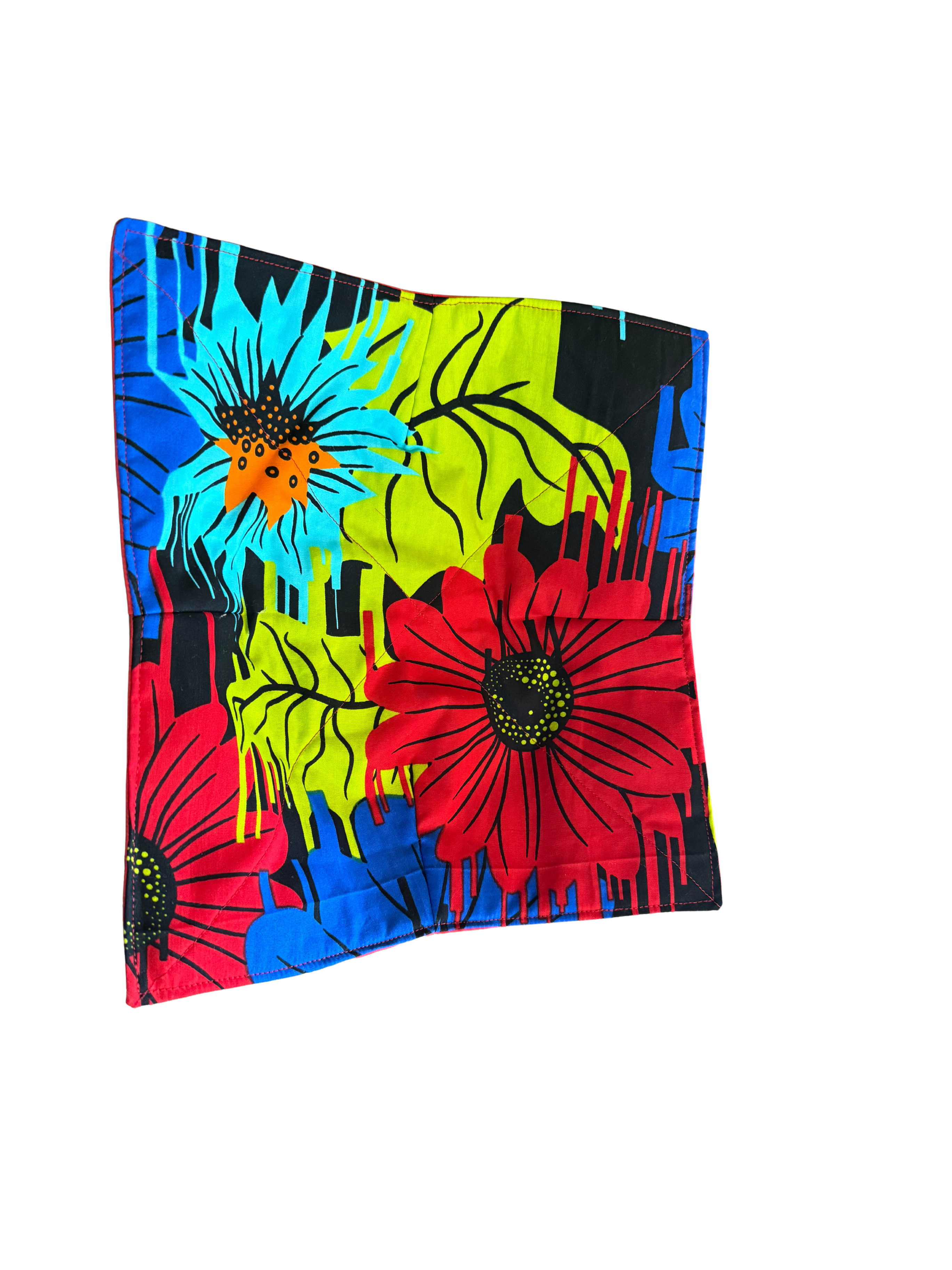 Multi-Colored Plate Cozie
