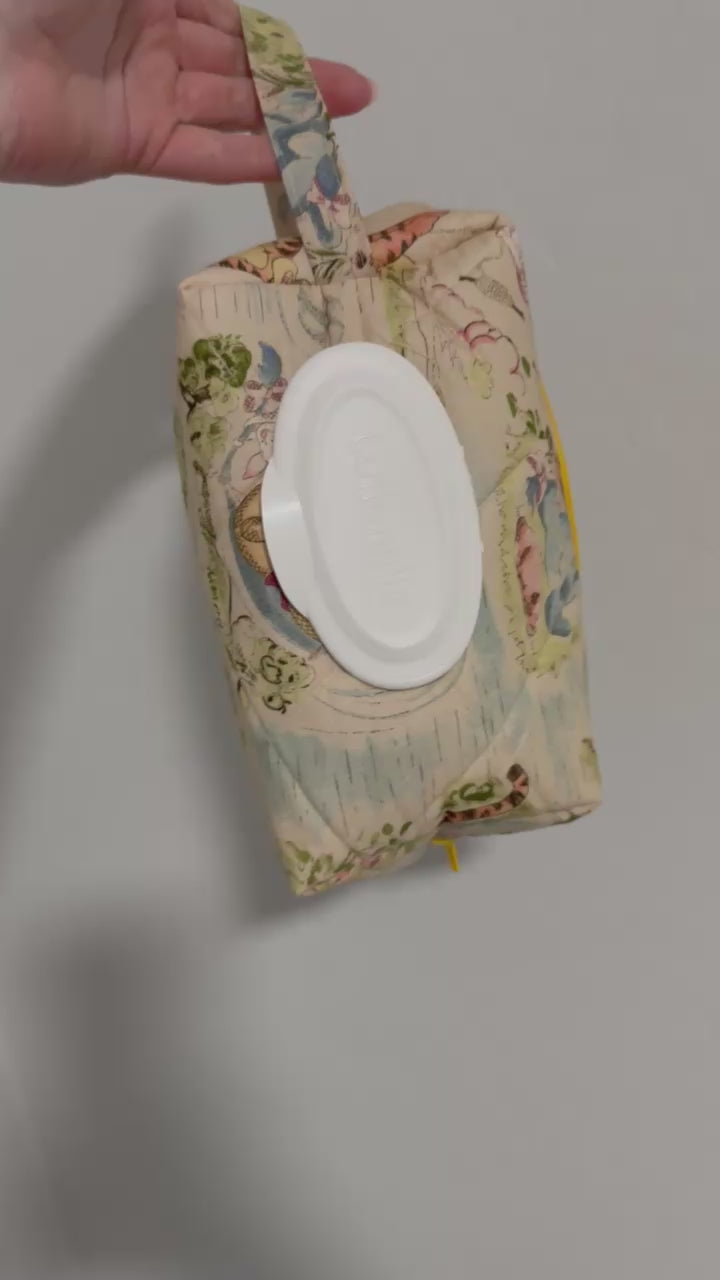 Diaper/Wipe Bag